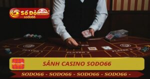 Hướng Dẫn Chi Tiết Cho Người Mới Chơi Sảnh Casino DG Tại Sodo66