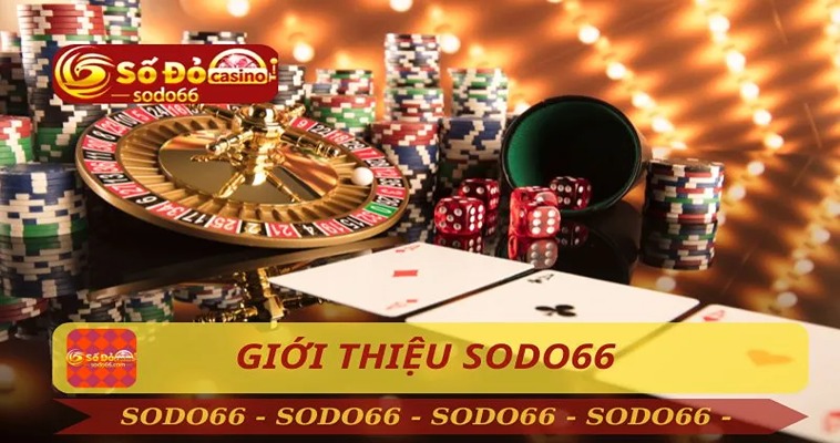 Hướng Dẫn Chi Tiết Cho Người Mới Chơi Sảnh Casino DG Tại Sodo66